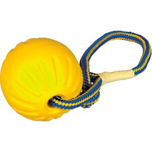 Starmark DuraFoam pallo narulla
