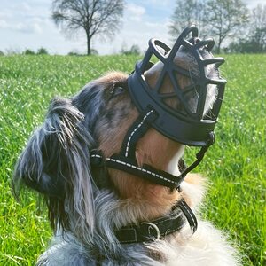 Nobby Muzzle Comfort Kuonokoppa