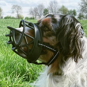 Nobby Muzzle Comfort Kuonokoppa