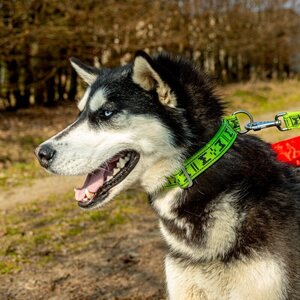 ManMat Standard Martingale puolikiristävä panta 28-50 cm