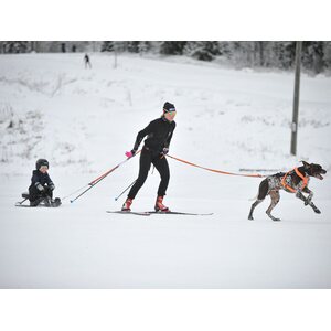 Non-stop dogwear Loype Belt Pro