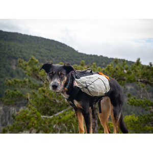 Non-stop dogwear Trail Light koiran kantoreppu