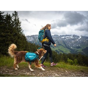 Non-stop dogwear Trail Quest koiran kantoreppu