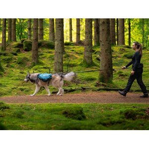 Non-stop dogwear Trail Quest koiran kantoreppu