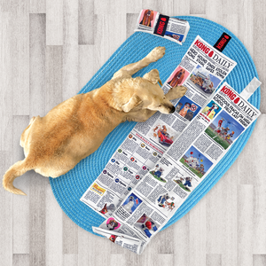 Kong Daily Newspaper XL pehmolelu 106 cm
