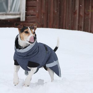 Kivalo Luosto koiran toppatakki harmaa