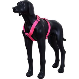 Rukka Form Neon valjaat pinkki