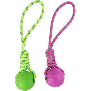 Best Friend Fetch Ball koiran pallo 7 cm