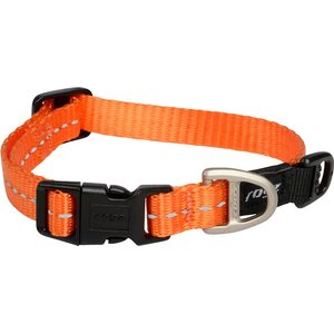 Rogz Utility koiran kaulapanta oranssi