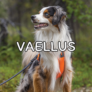 Vaellus
